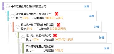 中興匯通信用擔保有限責任公司