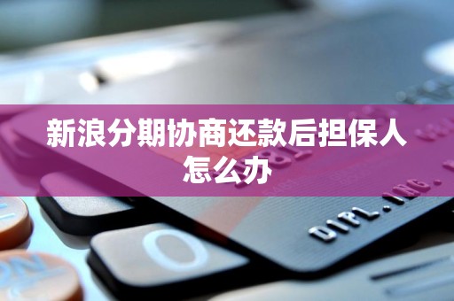 新浪分期協商還款后，信用擔保人如何應對與解除擔保責任？